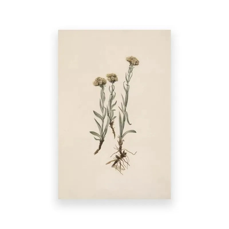 A minimalist painting featuring dried dandelion flowers on a light beige canvas.