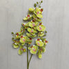 A stem of Lifelike Butterfly Orchid with 21 pale yellow and pink blooms against a light gray background.