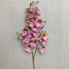 A stem of Lifelike Butterfly Orchid with 21 pink and orange blooms against a light background.