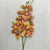 A stem of Lifelike Butterfly Orchid with 21 blooms featuring yellow, orange, and reddish-pink petals.