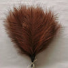A bundle of dried, reddish-brown pampas grass stems used for bohemian decor.