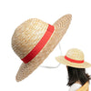 A straw hat with a red band is shown, viewed from above and angled toward a person's head.