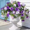 A white pedestal planter filled with purple and lavender artificial petunia bundles outdoors.