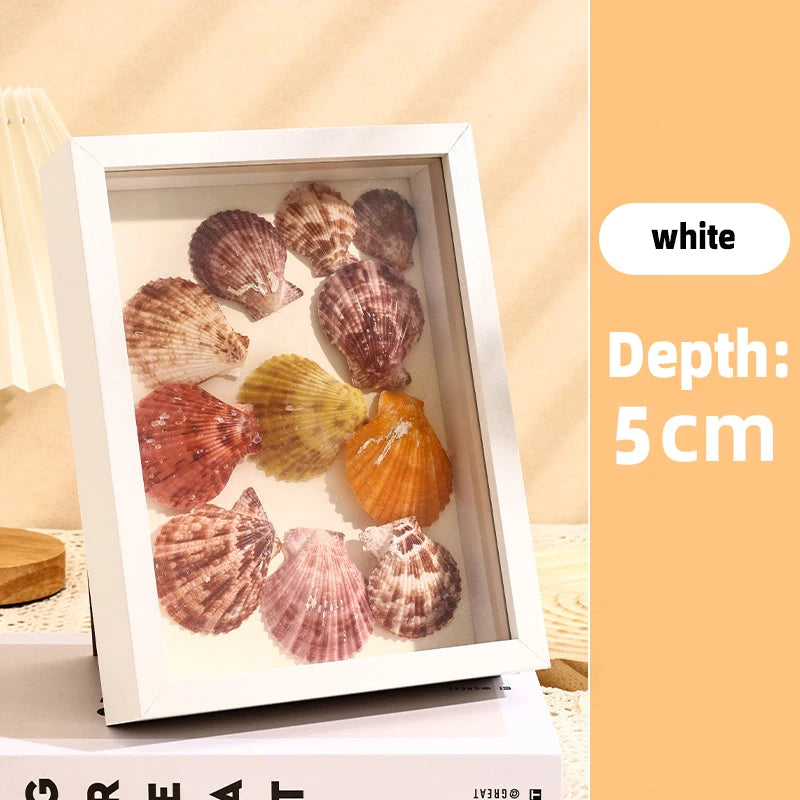 A white shadow box frame displaying various seashells and natural elements.