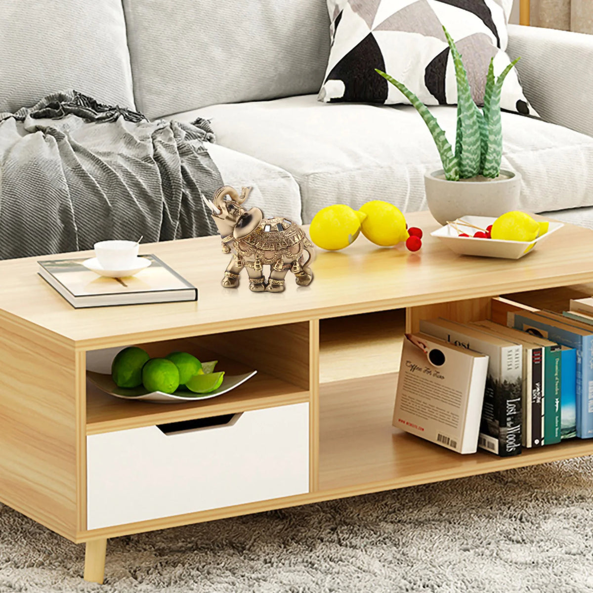A wooden shelf displaying a golden elephant statue, potted cactus, and books on a gray rug.