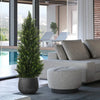 A modern living space featuring a large artificial cedar topiary tree indoors and an outdoor pool view.