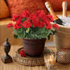 A potted silk begonia artificial flower with red blooms sits on a wooden tray next to a bottle and decorative glass.