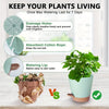 Self-watering plant pots with drainage holes and absorbent cotton rope shown next to a potted plant.