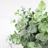 A lush green eucalyptus plant with small leaves in a rustic pot.