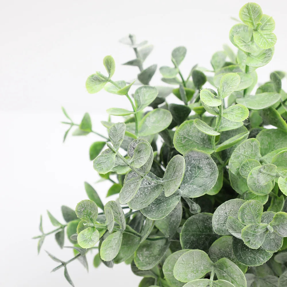 A lush green eucalyptus plant with small leaves in a rustic pot.