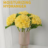 A bouquet of yellow single branch moisturizing hydrangea flowers in a pink vase