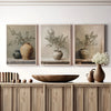Three framed canvas prints featuring olive trees in terracotta pots displayed on a wooden shelf.