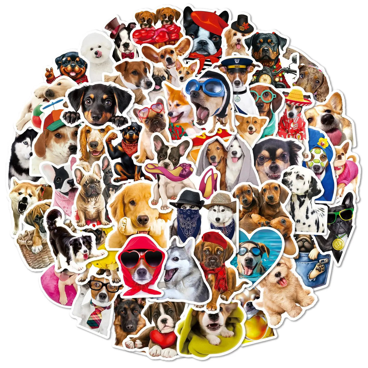 A collection of realistic dog meme stickers featuring various breeds and expressions.