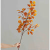 A hand holds a branch of autumn beech leaves with orange and yellow tones against a light gray background.