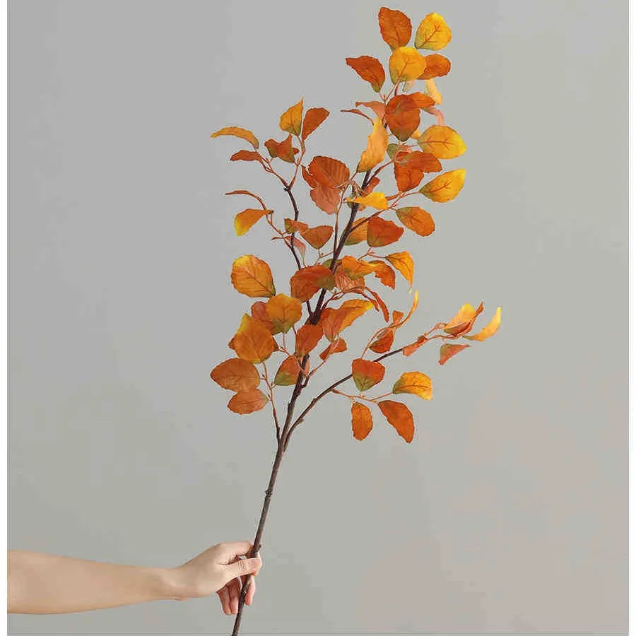 A hand holds a branch of autumn beech leaves with orange and yellow tones against a light gray background.