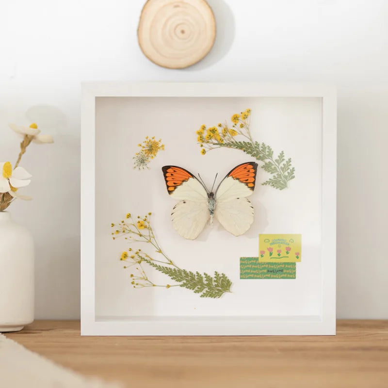 A white shadow box photo frame featuring a butterfly and delicate yellow wildflowers on a light background.