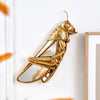 A gold resin animal wall hanging decor shaped like a bird or insect, mounted on a white wall.