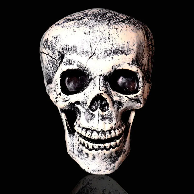 A realistic white skull carved from bone used for Halloween graveyard decor.