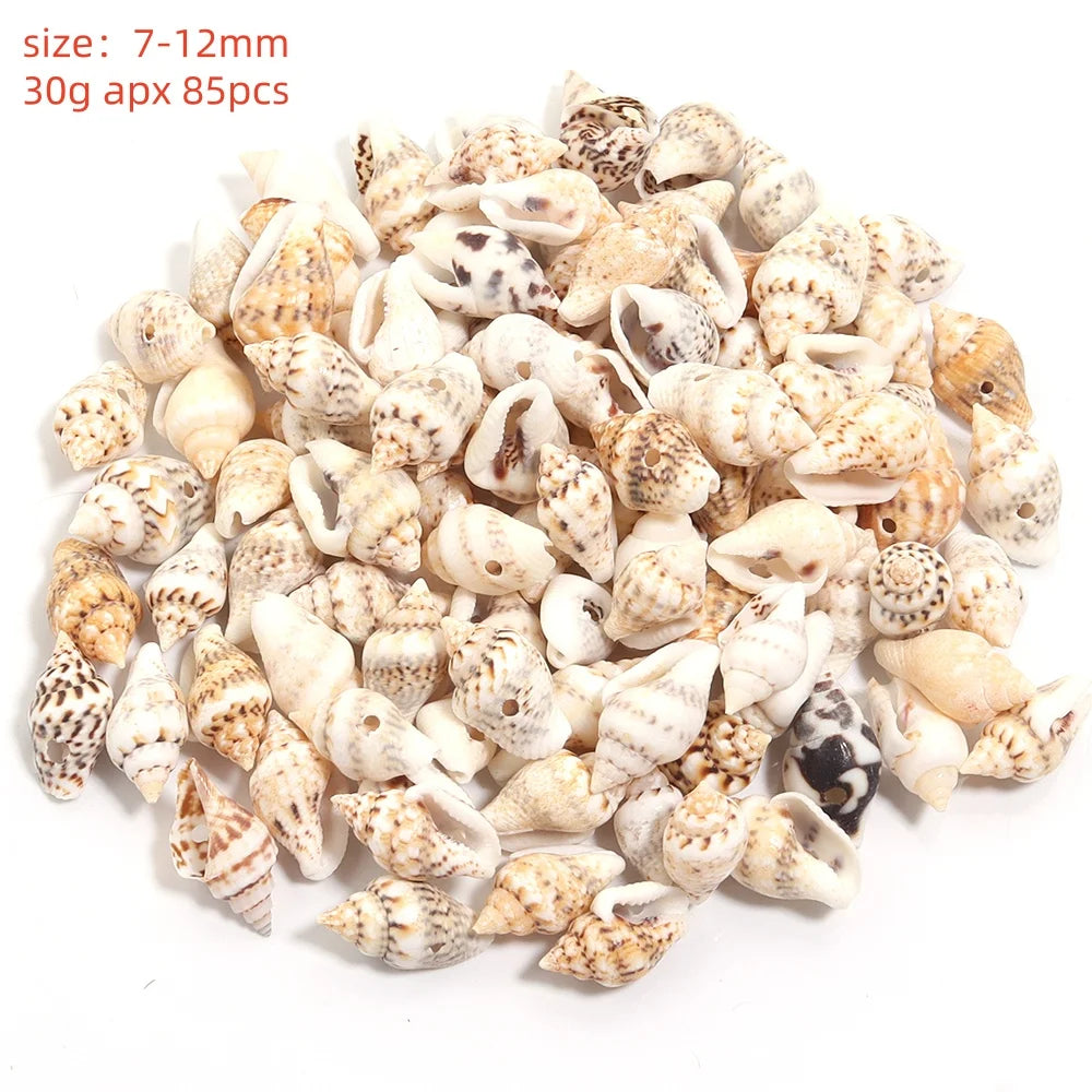 Natural Sea Snail Shell Beads for DIY Jewelry Making