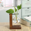 A green plant growing in a glass vase mounted on a wooden stand.