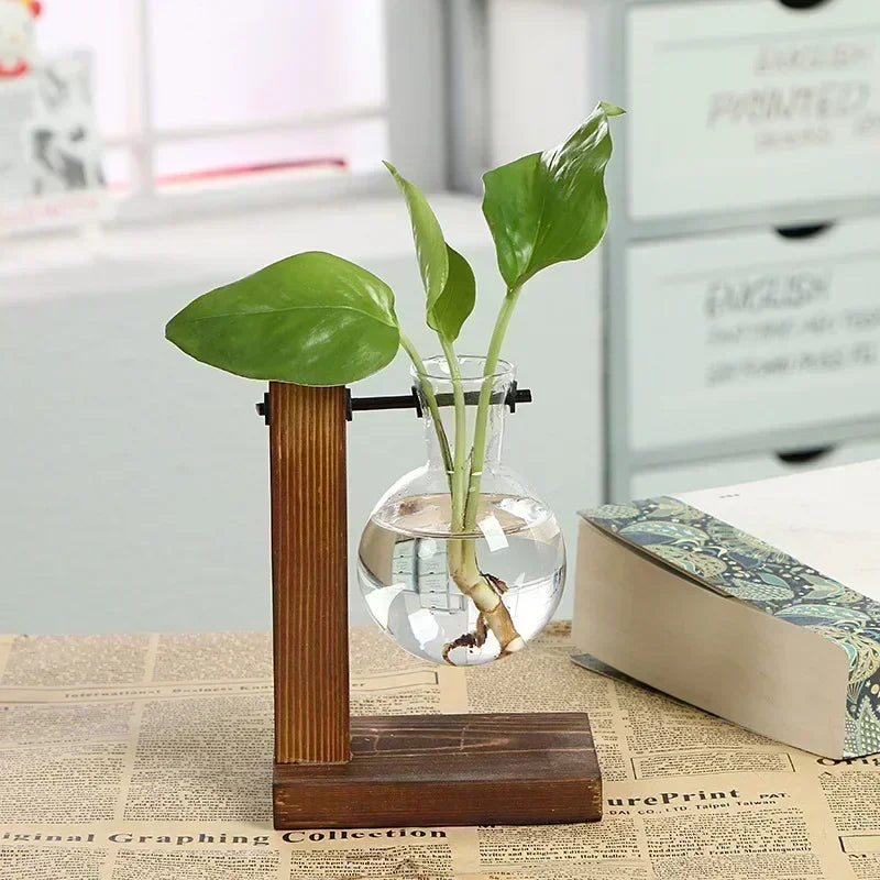 A green plant growing in a glass vase mounted on a wooden stand.