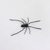 Funny Spider Fridge Magnet Set