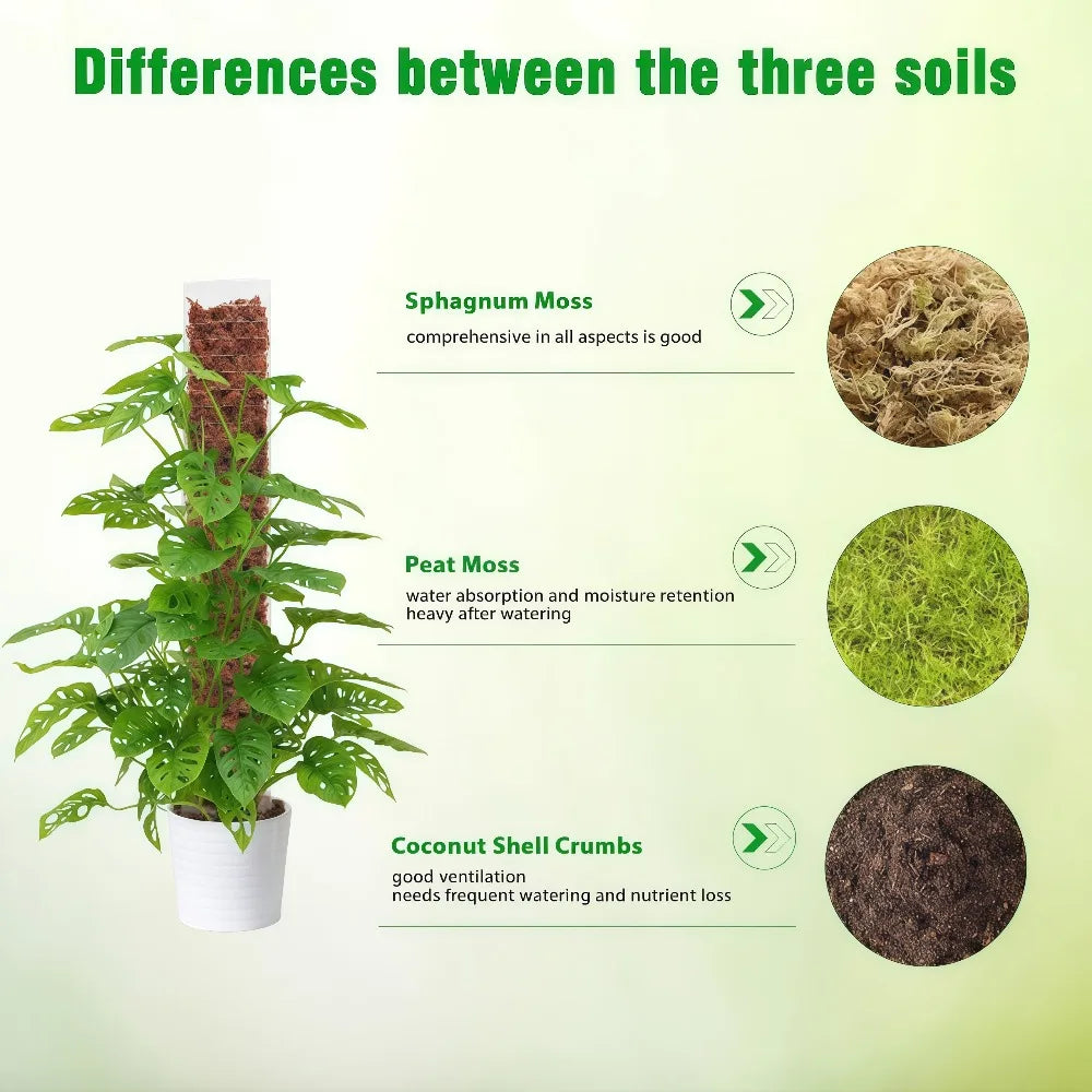 Comparison chart showing differences between three soils: Sphagnum Moss, Peat Moss, and Coconut Shell Crumbs.