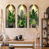 Three potted green plants displayed in arched frames on a beige wall.