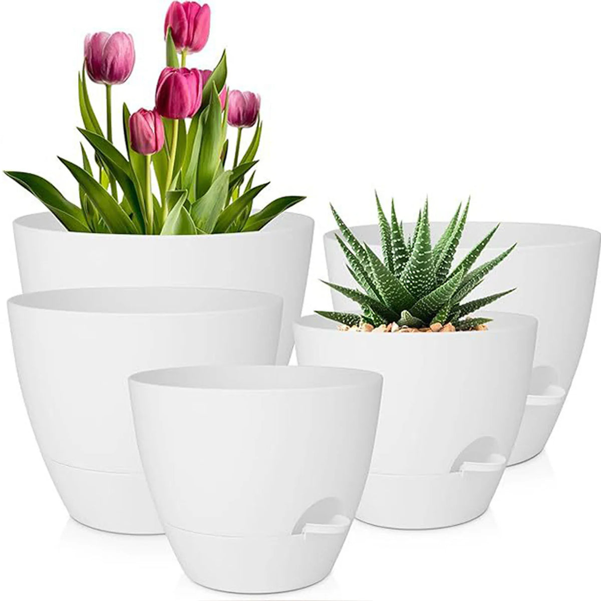 A set of five white self-watering flower pots containing pink tulips and a succulent plant.