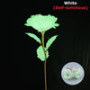 White self-luminous rose with green leaves against a black background