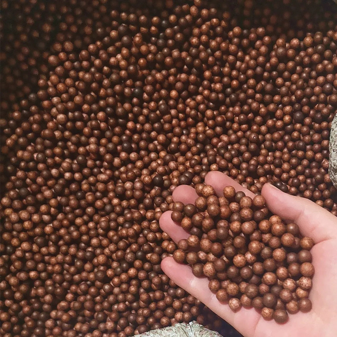 A hand holds a pile of brown foam beads for crafting and decoration.