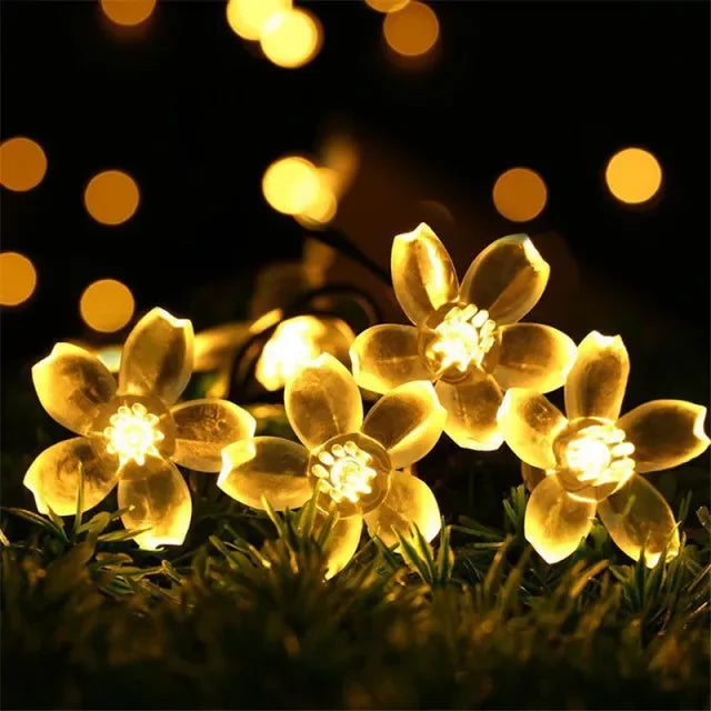 Golden flowers illuminated by warm string lights against a dark background.