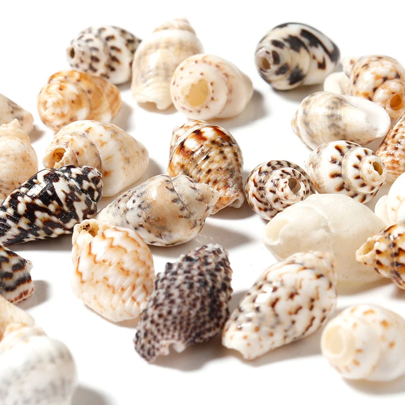 Natural Sea Snail Shell Beads for DIY Jewelry Making
