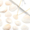 Natural Sea Snail Shell Beads for DIY Jewelry Making