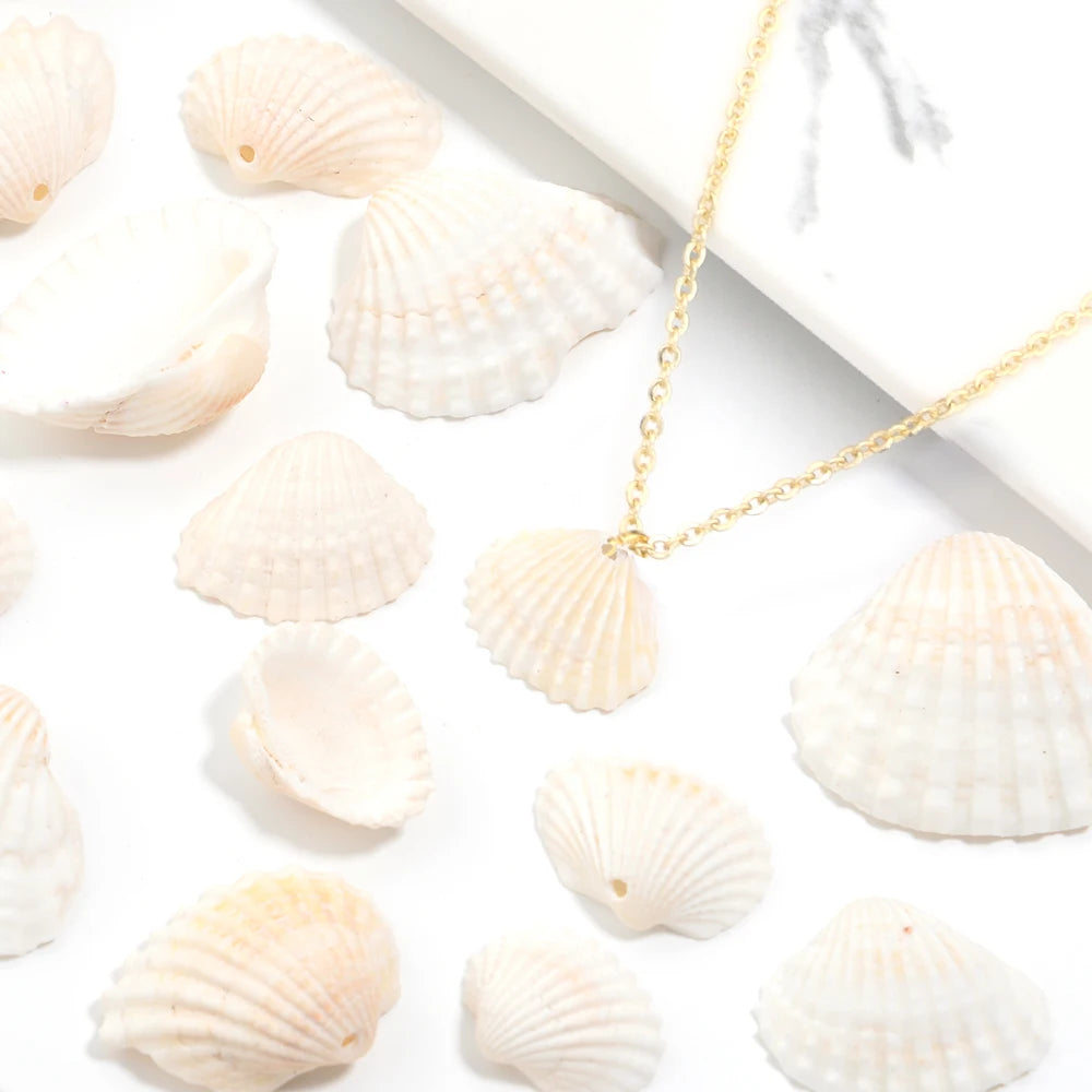 Natural Sea Snail Shell Beads for DIY Jewelry Making