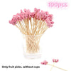 Eco-Friendly Bamboo Cocktail Picks with Cute Toppers (100 Pack)
