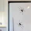 Funny Spider Fridge Magnet Set