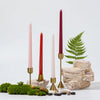 A collection of gradient color long taper candles in pink and red set against a natural stone and green moss background.