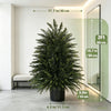 A tall artificial cedar topiary tree in a black pot displayed in a modern room.