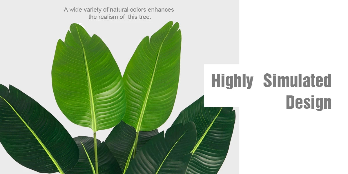 A tropical plant featuring large green leaves against a light gray background.