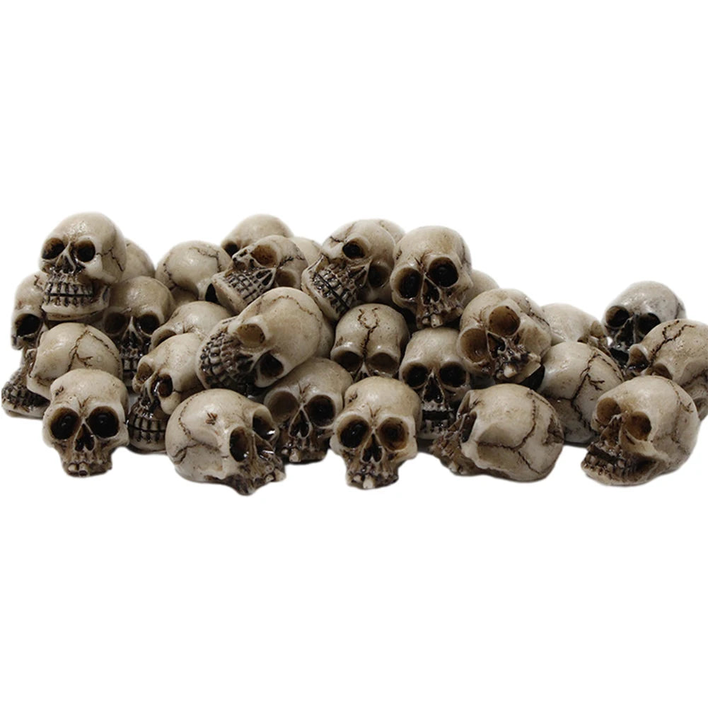 A collection of realistic skull figurines used for Halloween and gothic decor.