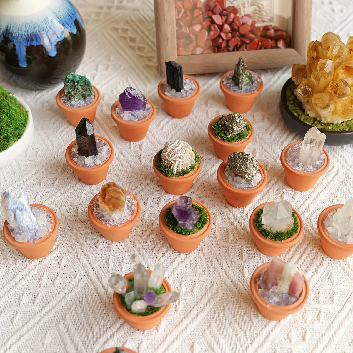 A collection of natural amethyst crystals and green plants are displayed in small terracotta pots on a white textured surface
