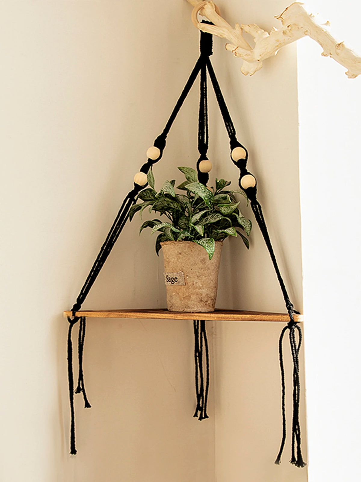 Étagère flottante en bois bohème avec porte-macramé noir tenant une plante en pot.