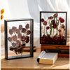 Deep Shadow Box Frame for 3D Displays - Wooden Tabletop Keepsake Case