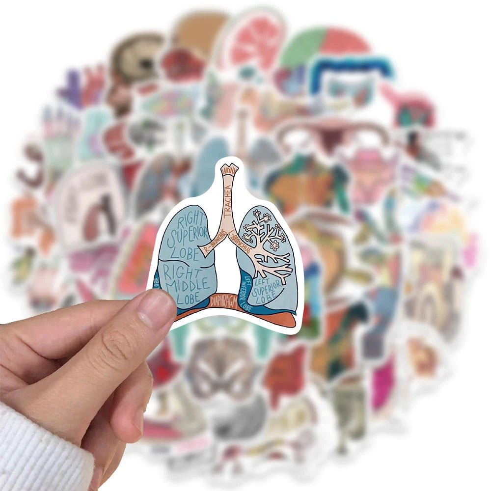 A hand holds a sticker featuring the anatomy of the human lung, including the trachea and lobes, from a set of medical theme 