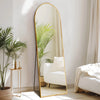 A full length arched wall mirror with a gold frame reflects a green palm leaf and interior decor.