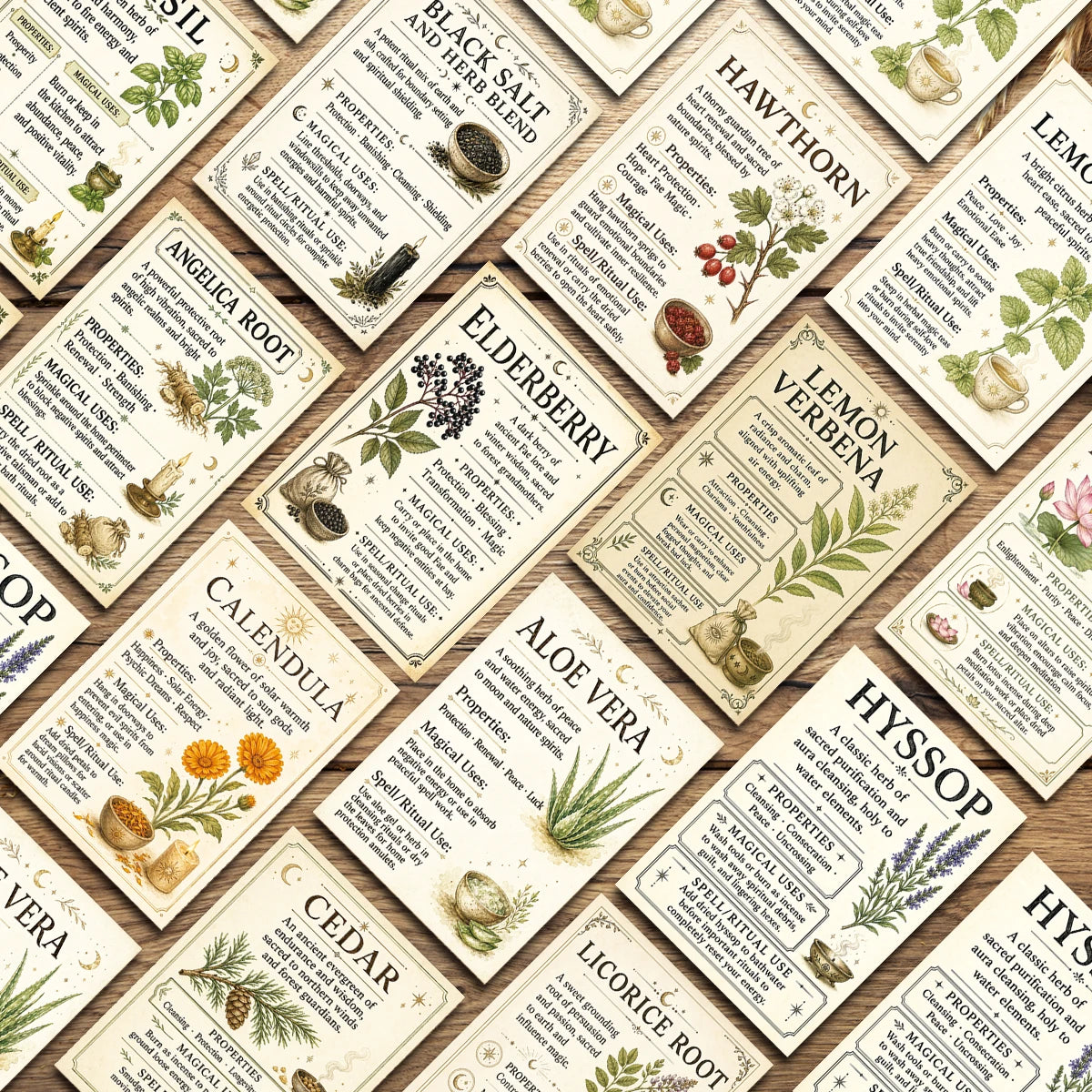 Herbal Properties Reference Cards for Witches & Apothecaries