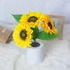 A bright yellow sunflower plant in a white pot with green leaves and a dark center.