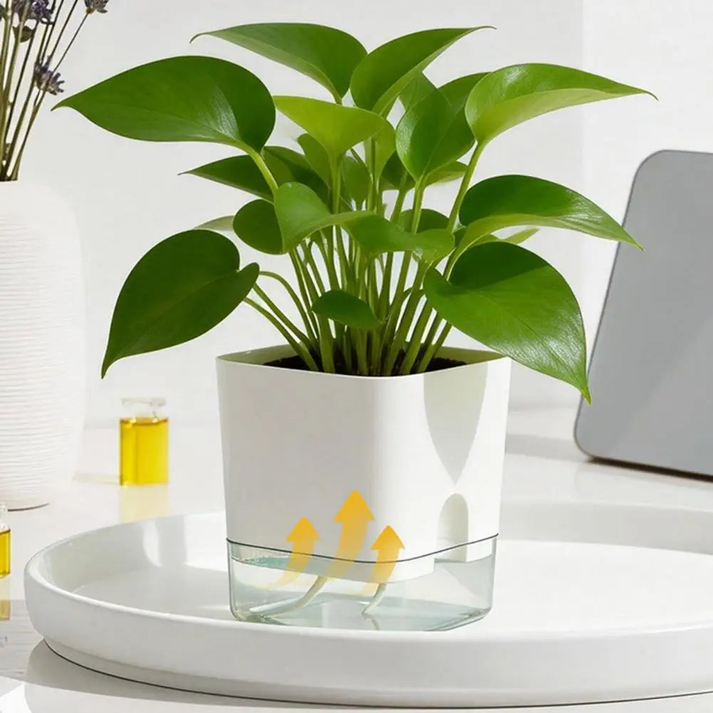A white self-watering planter with green leaves and a clear reservoir sits on a white tray.