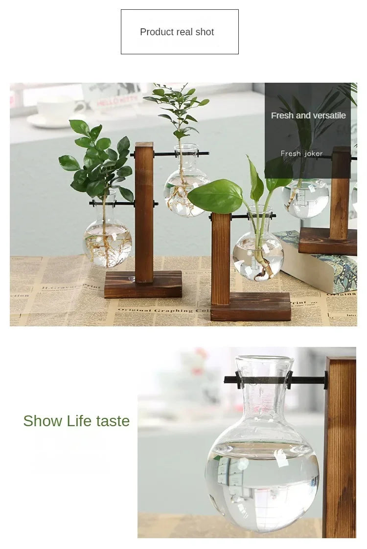A set of wooden plant vases with glass globes holding fresh greenery and herbs.